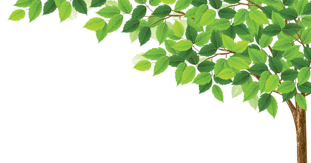 森 イラスト詳細 6位