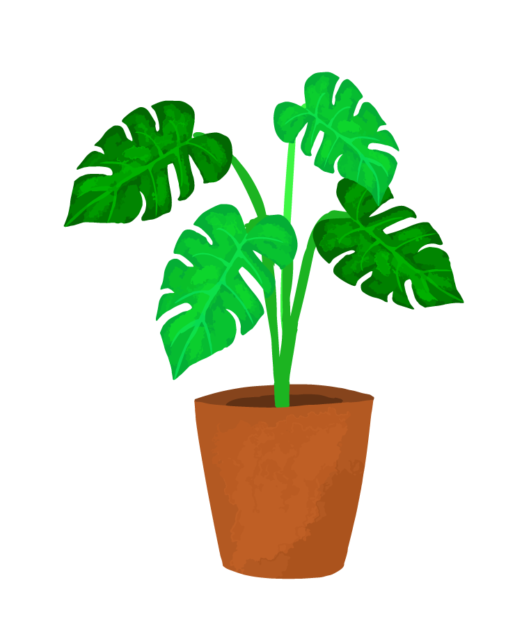 植物 フリー 素材詳細 8位
