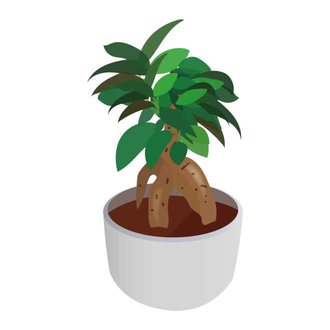 植物 フリー 素材詳細 4位