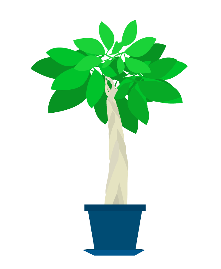 植物 フリー 素材詳細 5位