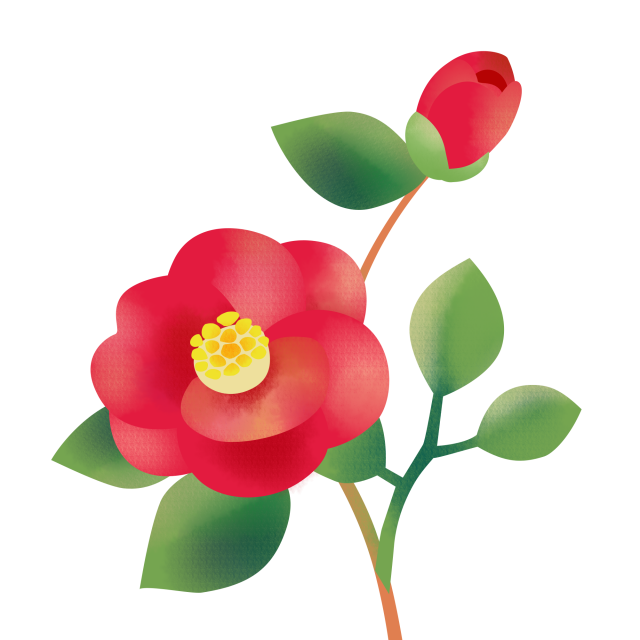 椿 イラスト詳細 8位