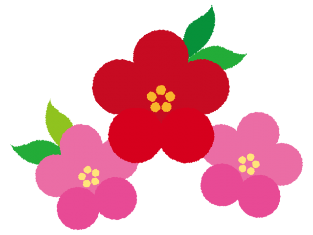 正月 花 イラスト詳細 3位