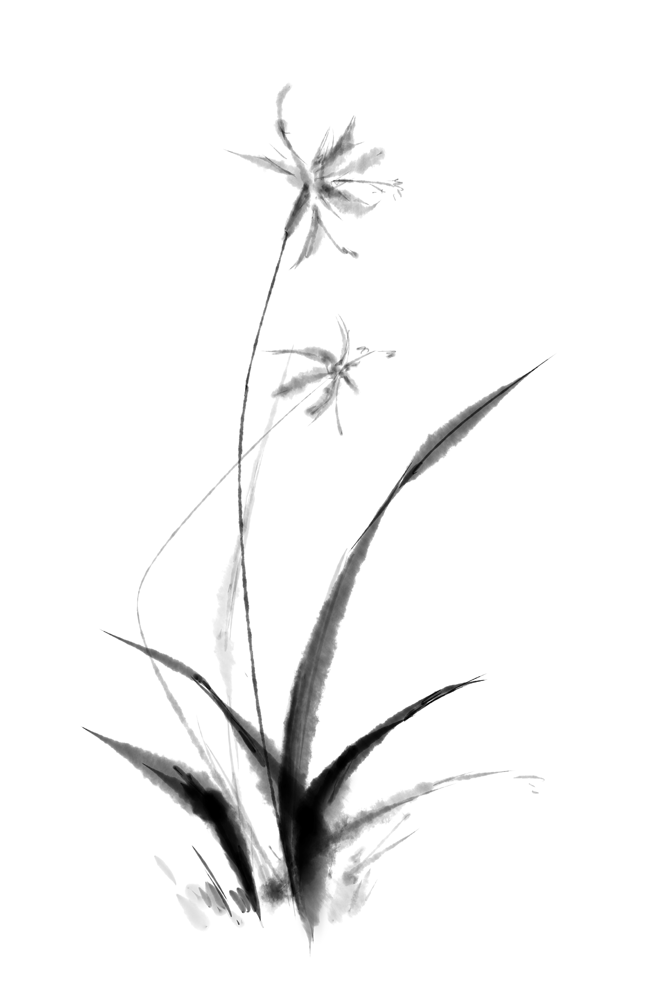 水墨画 花 簡単 - KibrisPDR