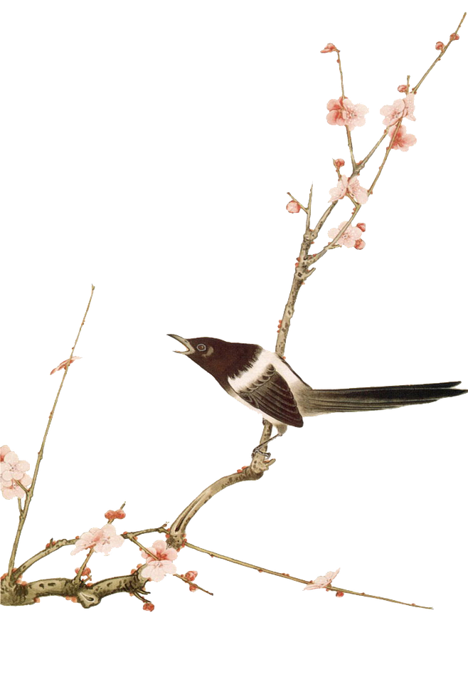 水墨画 鳥詳細 8位