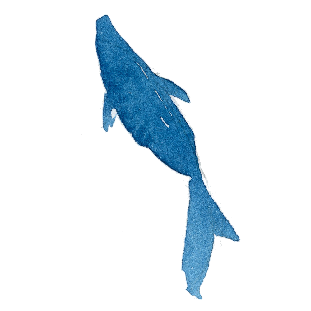 水彩 金魚 イラスト詳細 13位