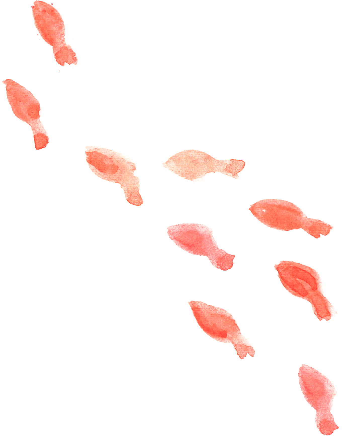 水彩 金魚 イラスト詳細 15位