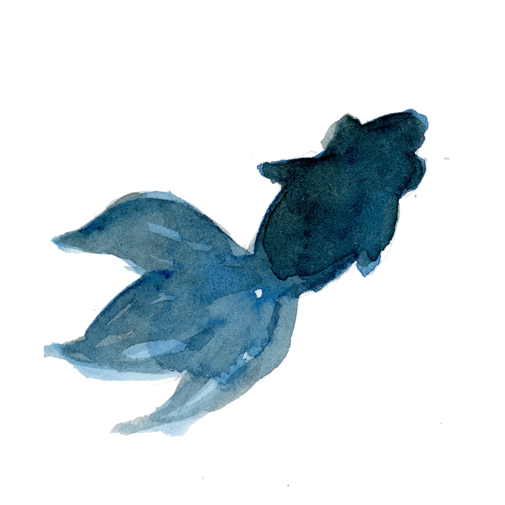 水彩 金魚 イラスト詳細 3位