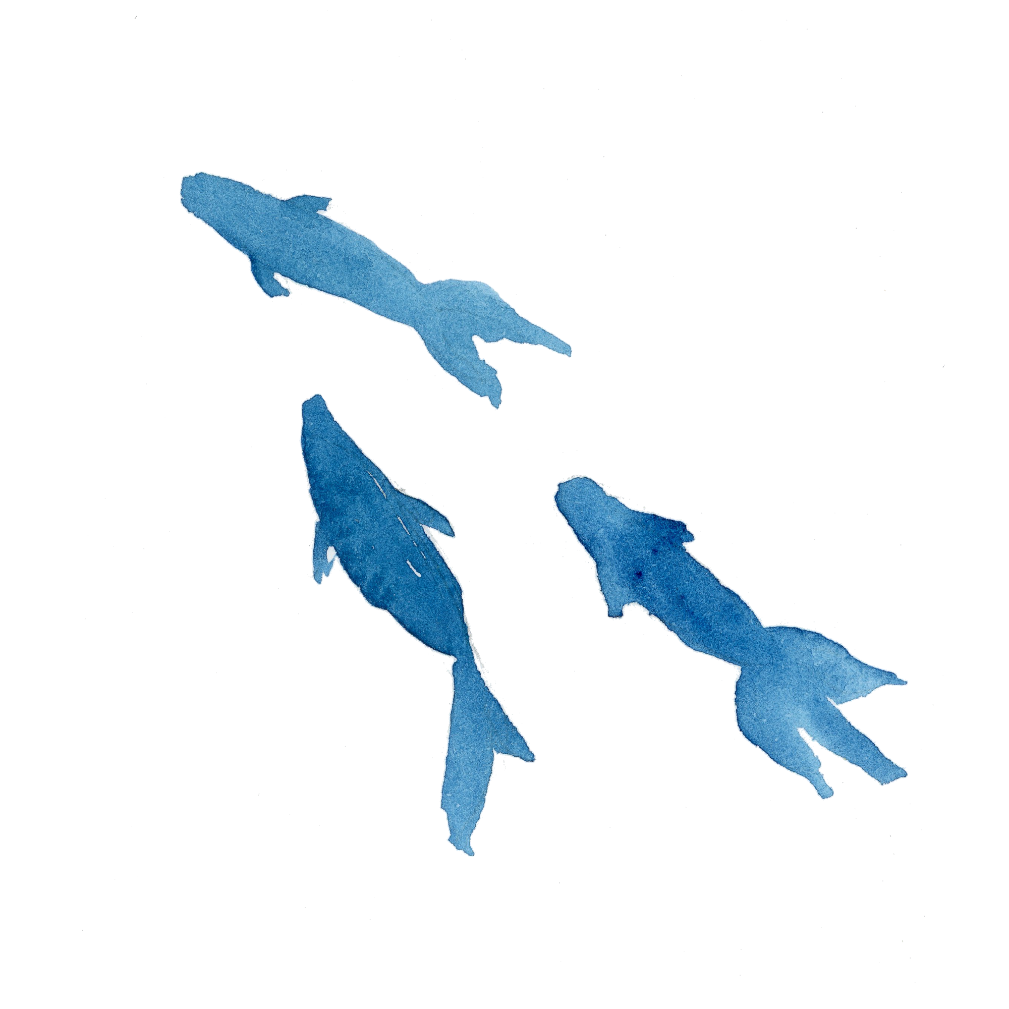 水彩 金魚 イラスト詳細 5位
