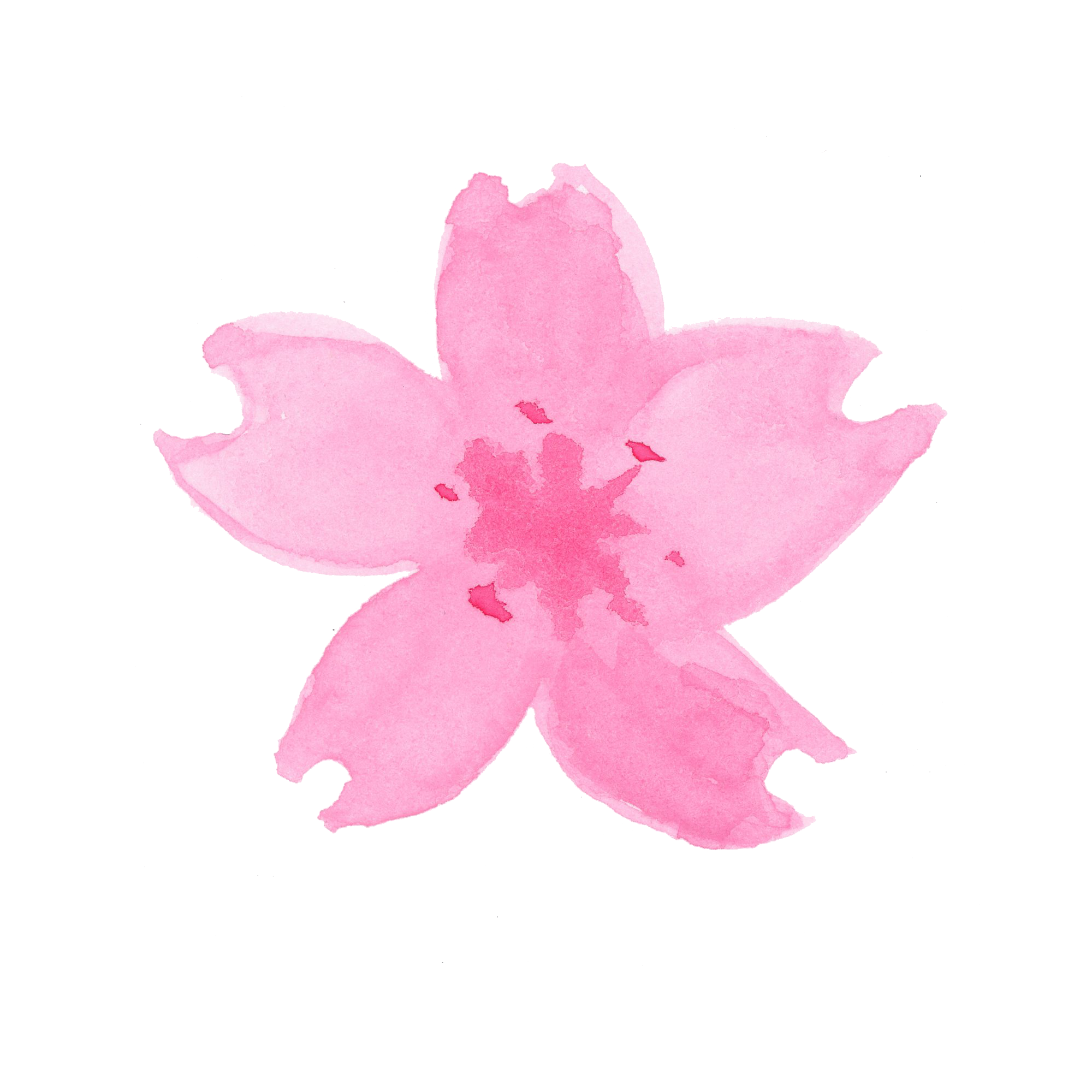 水彩画 桜 - KibrisPDR