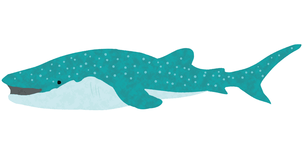 水族館 魚 イラスト詳細 6位
