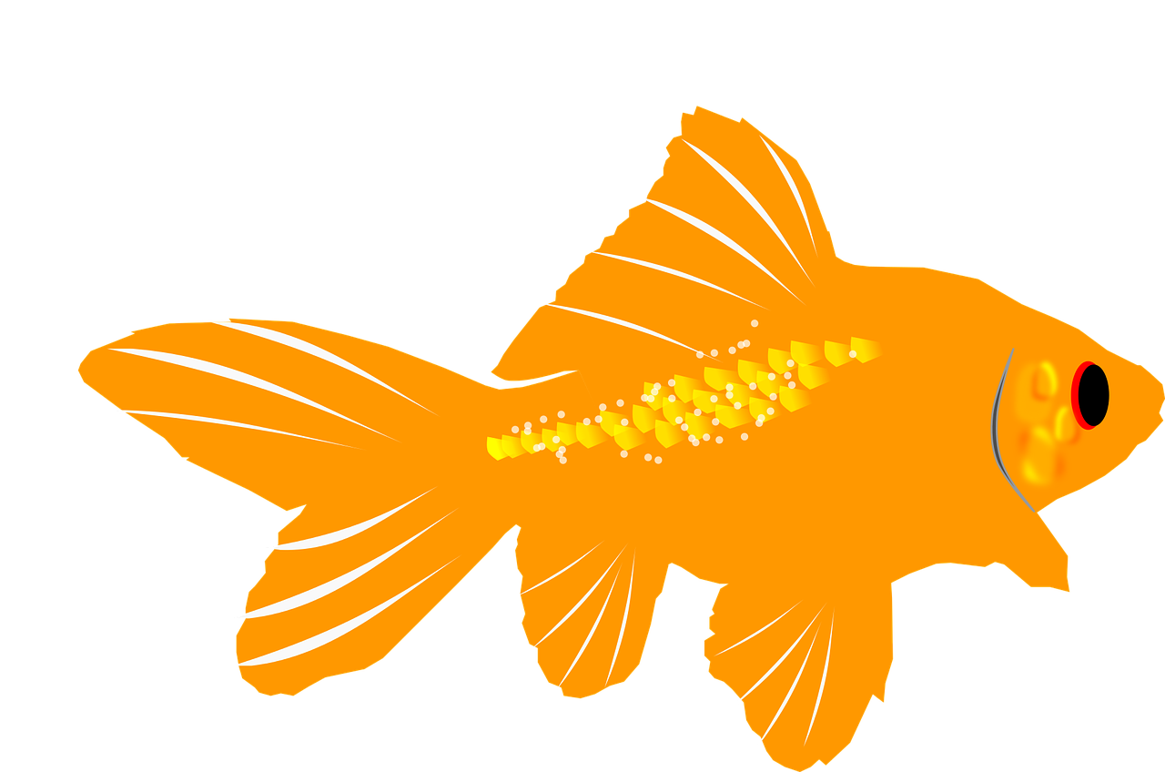 水族館 魚 イラスト詳細 8位
