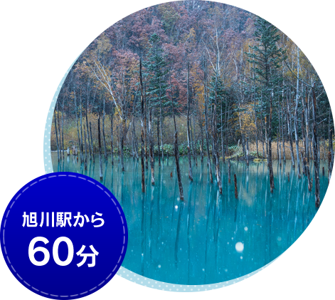 水面 に 映る イラスト詳細 4位