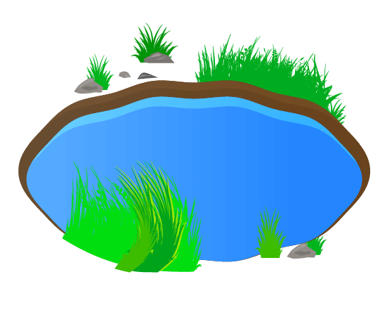 池 イラスト詳細 8位