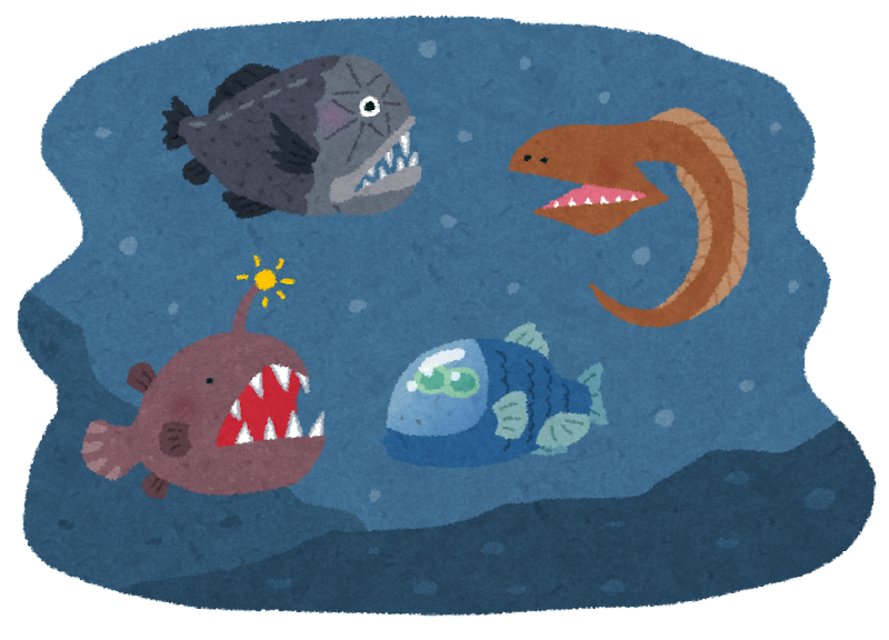 海 の 生き物 イラスト 無料詳細 6位