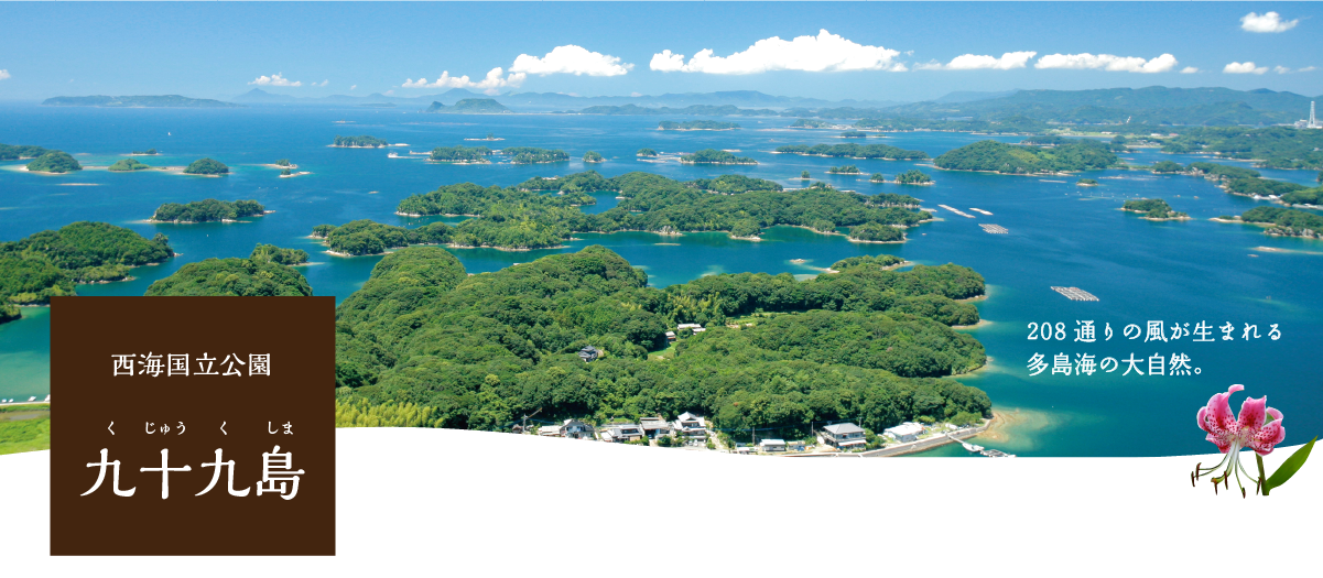 海 綺麗 画像詳細 13位