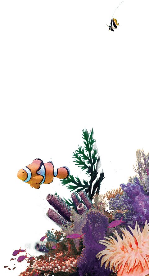 海底 フリー 素材詳細 9位