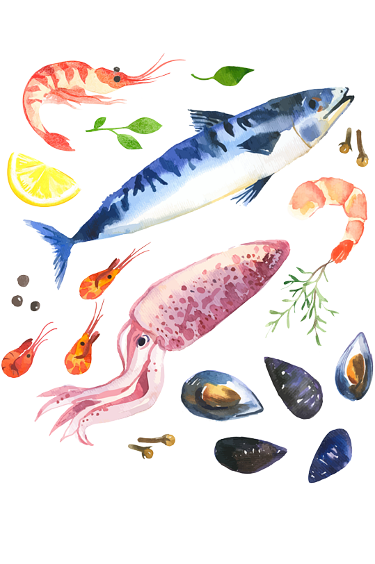 海洋 生物 かわいい詳細 11位