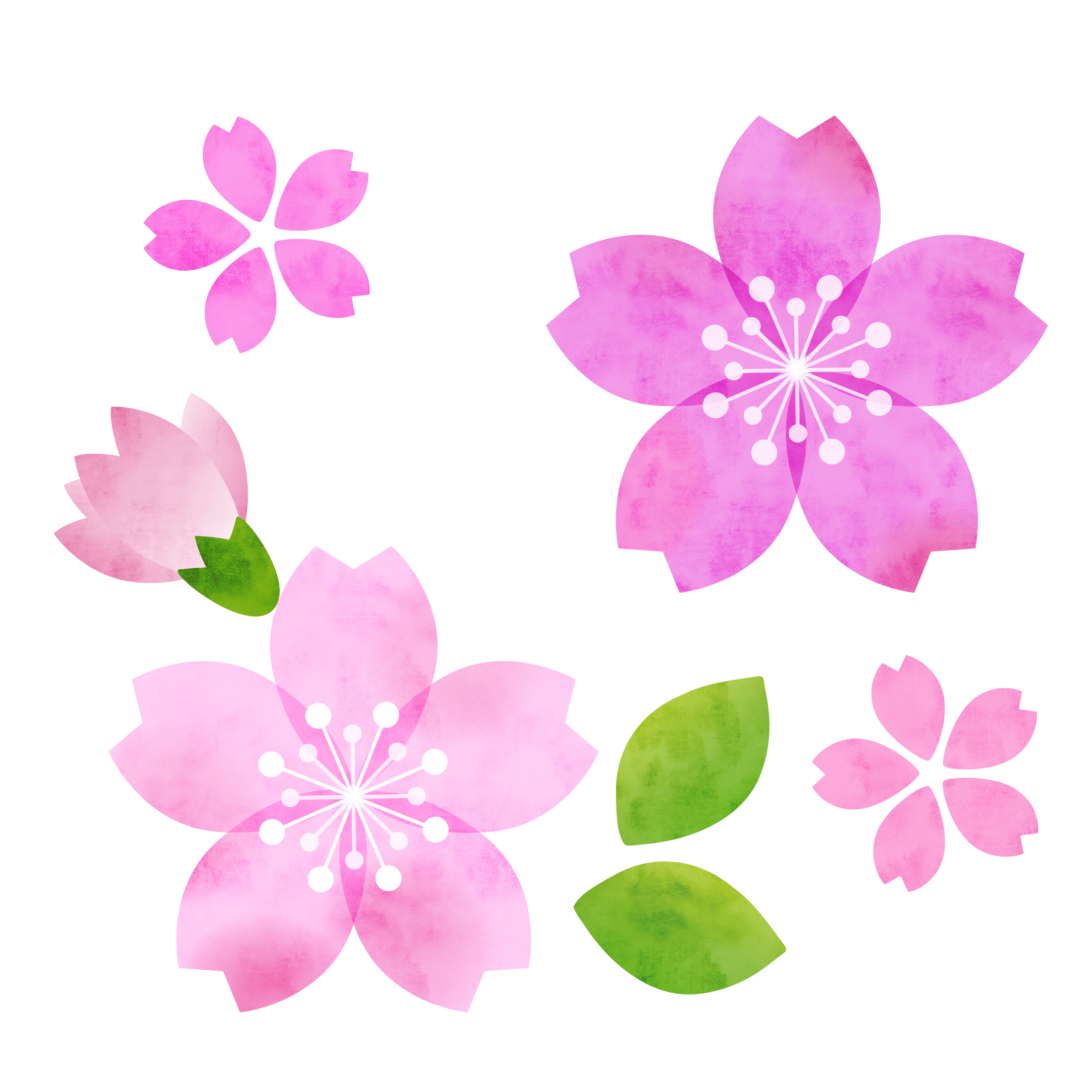 無料 イラスト 春の 花詳細 2位