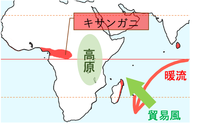 熱帯 雨林 イラスト詳細 7位