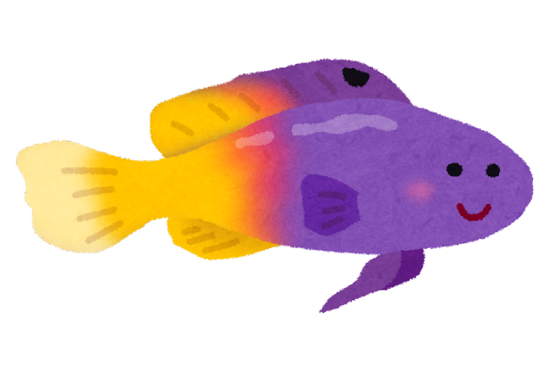 熱帯魚 イラスト かわいい詳細 12位