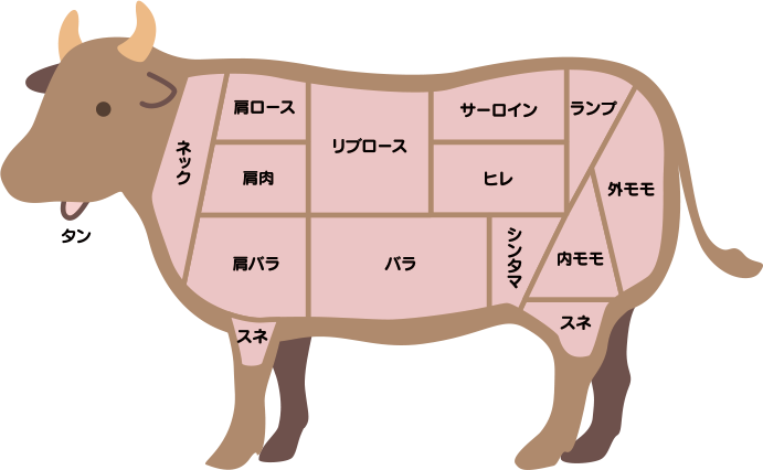 牛 の しっぽ詳細 11位