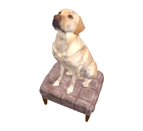 犬 3d 画像 - KibrisPDR