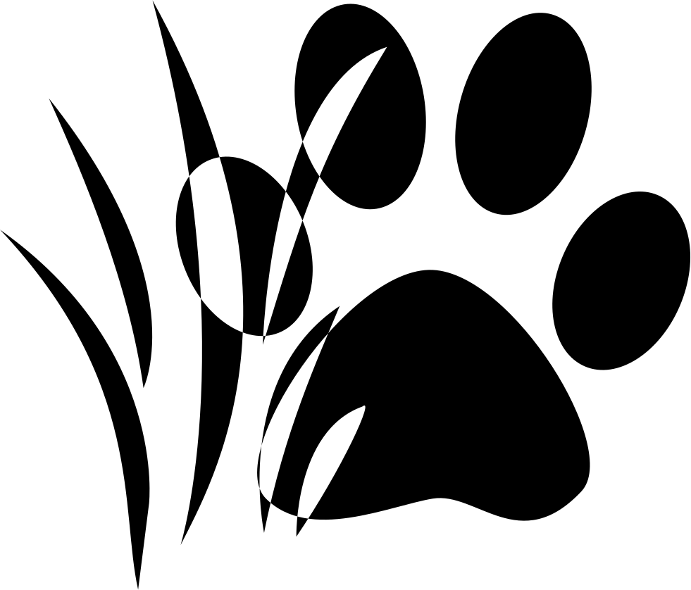犬 の 骨 イラスト詳細 10位