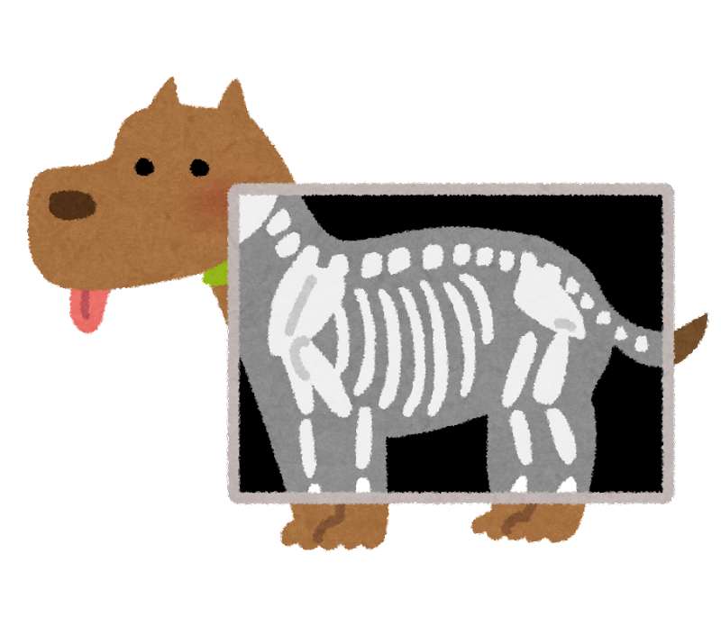 犬 の 骨 イラスト詳細 12位