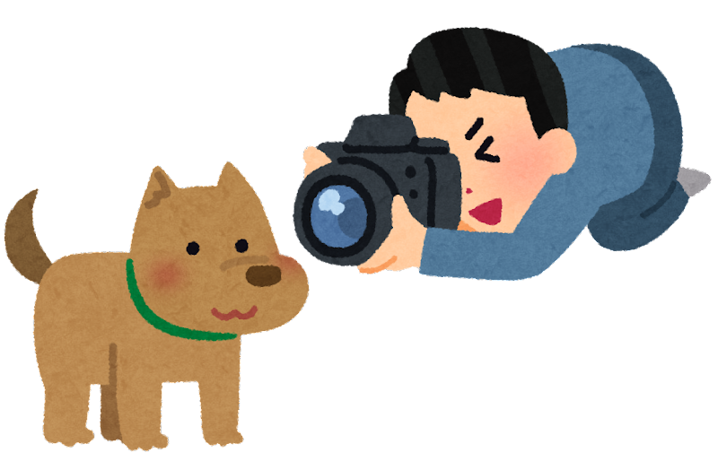 犬 写真 無料 かわいい詳細 11位