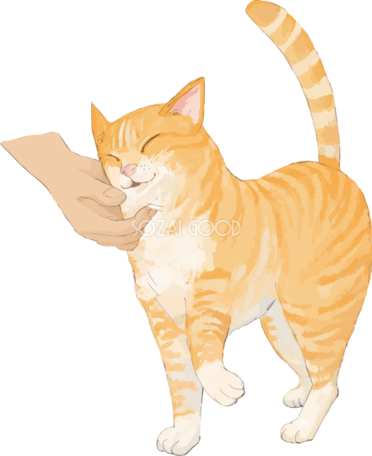 猫 の 背景詳細 7位