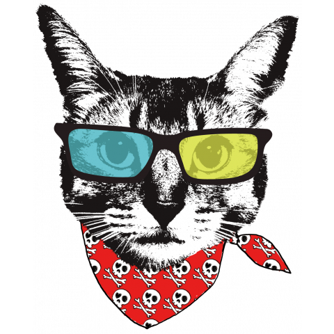 猫 サングラス 画像 - KibrisPDR