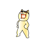 猫 サングラス 画像詳細 9位