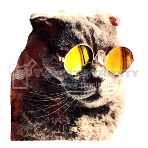 猫 サングラス 画像詳細 3位