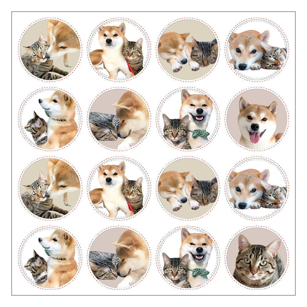 猫 シール詳細 8位
