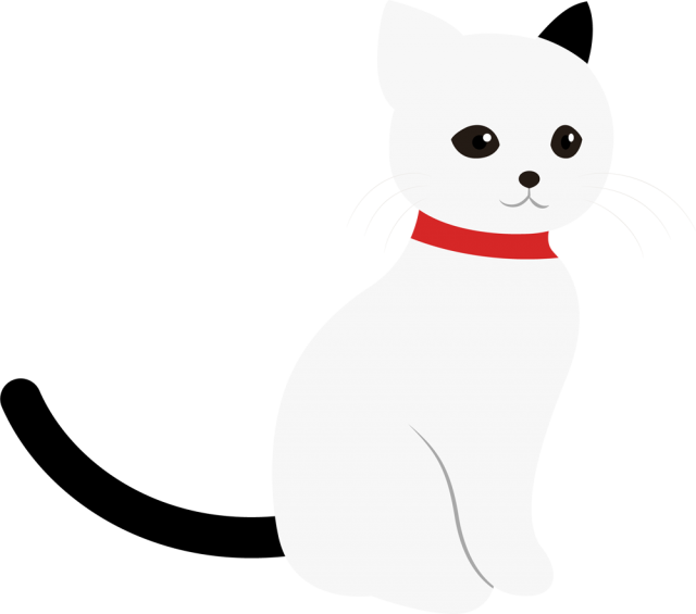 猫 フリー 素材 アイコン詳細 10位