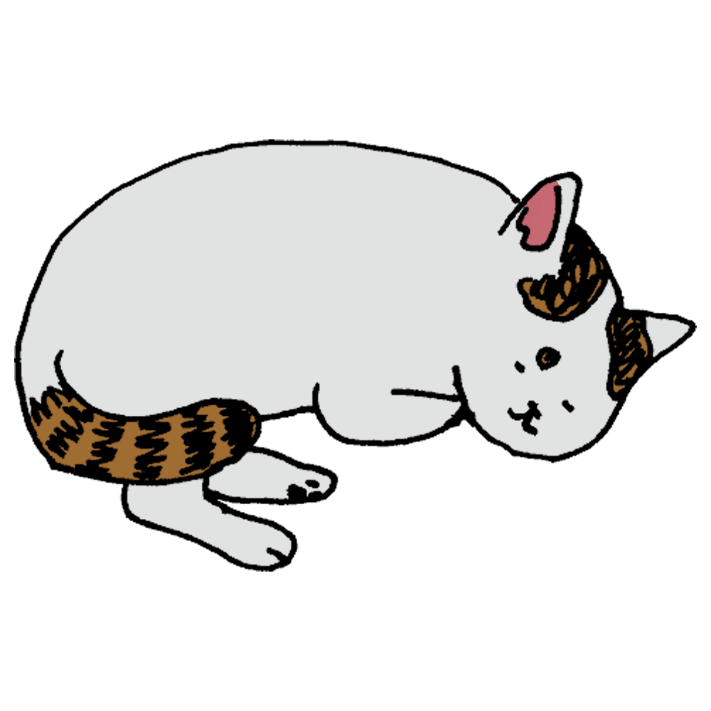 猫 手書き詳細 11位