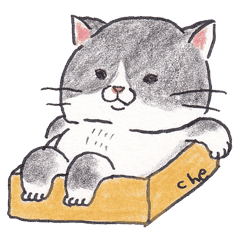 猫 手書き詳細 5位