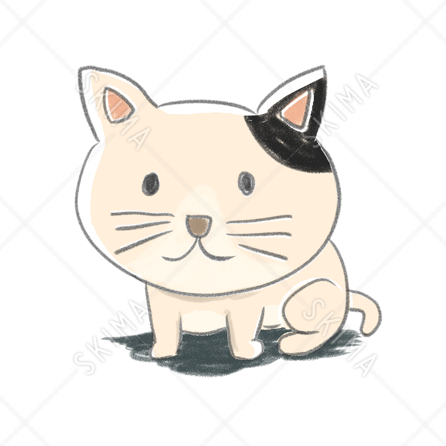 猫 手書き詳細 6位