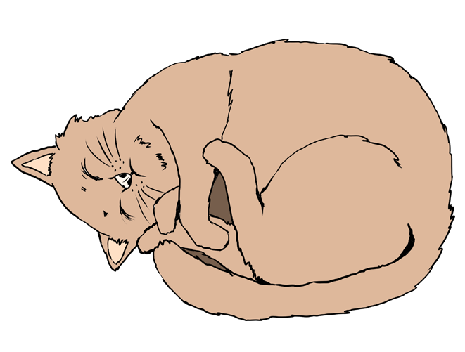 猫 手書き詳細 9位