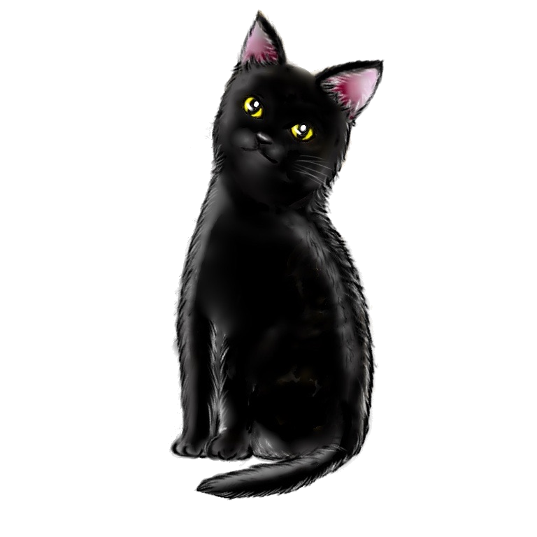 猫 無料 画像詳細 12位