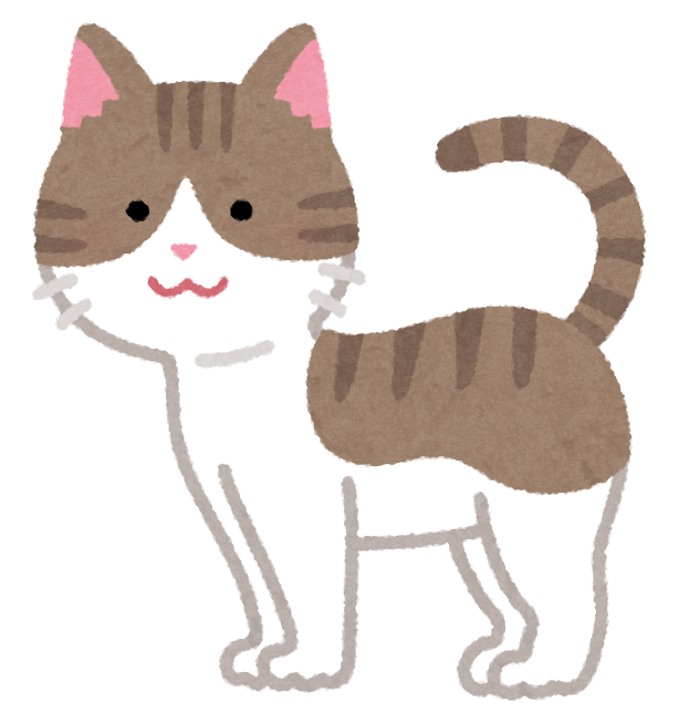 猫 画像 フリー詳細 11位