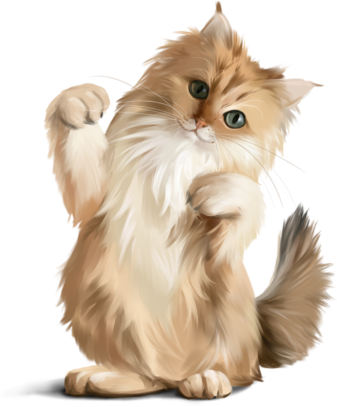猫 背景詳細 7位