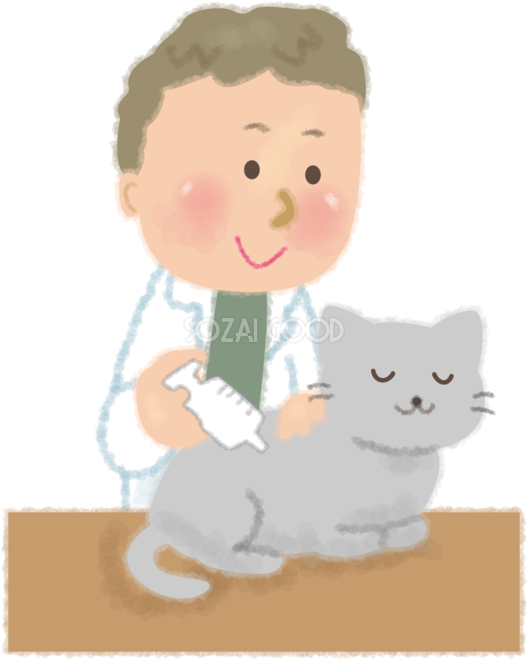 獣 医師 イラスト詳細 3位