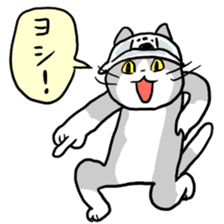 現場 猫 高 画質詳細 9位