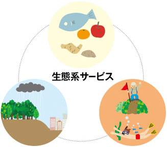 生態 系 イラスト詳細 8位