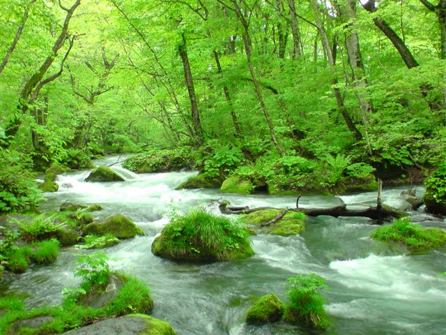 癒し 背景詳細 6位