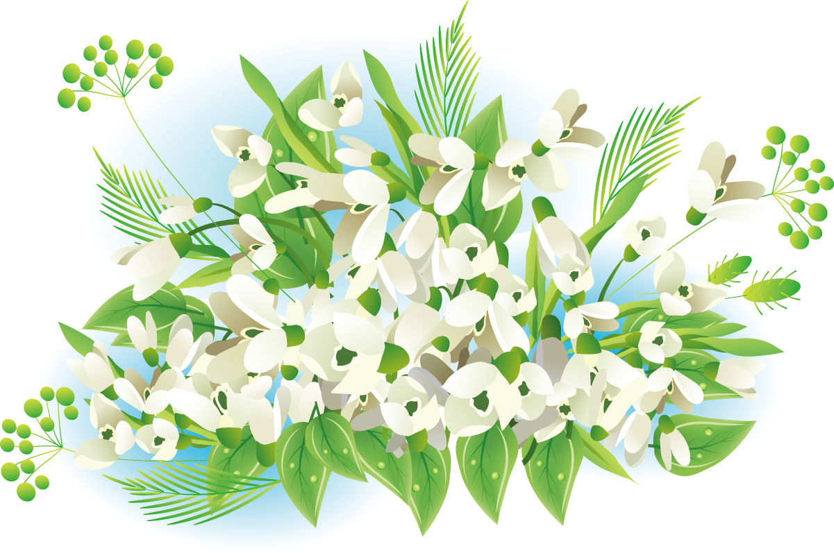 白い 花 イラスト詳細 9位