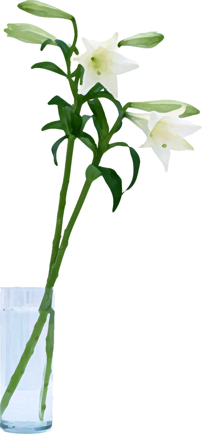 白い 花 イラスト詳細 3位