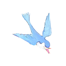 白い 鳥 夢詳細 10位