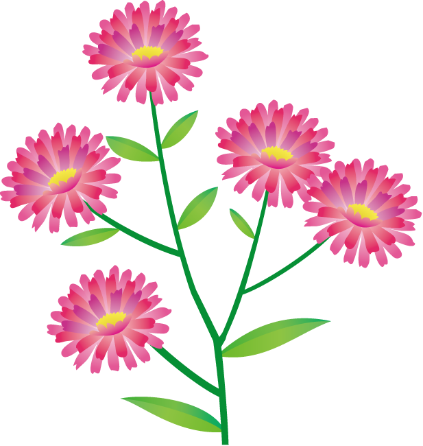 秋 の 花 イラスト 無料 - KibrisPDR